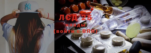 прущие грибы Алзамай