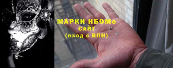 прущие грибы Алзамай