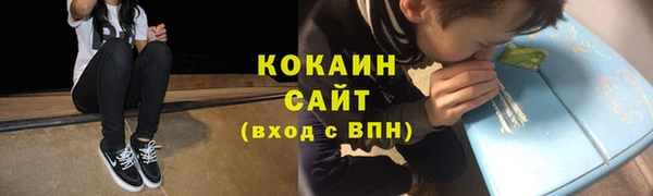 прущие грибы Алзамай