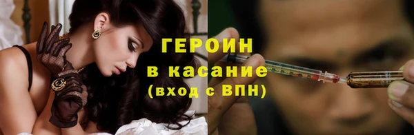 прущие грибы Алзамай