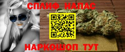 Альфа ПВП Ярославль