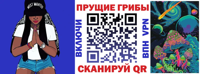 Псилоцибиновые грибы Psilocybe  blacksprut tor  Мегион  цена наркотик 