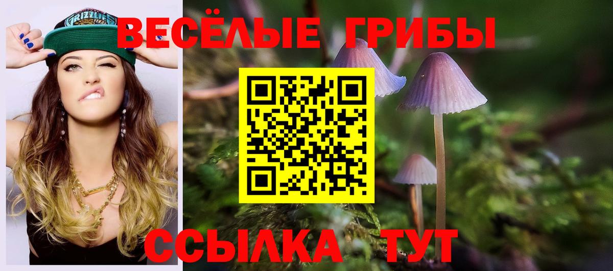 Мегион  Галлюциногенные грибы мухоморы  Псилоцибиновые грибы Psilocybe  Вход с VPN 